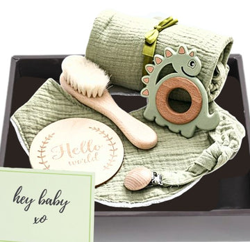 6 piece newborn baby dinosaur gift set in green